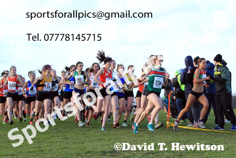 Senior womens 2022 Northern Cross Country Champs., Pontefract. Photo: David T. Hewitson/Sports for All Pics